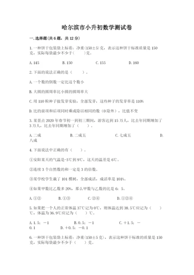 哈尔滨市小升初数学测试卷一套.docx