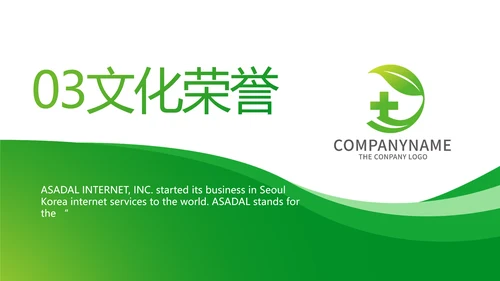 绿色简约医疗医药公司简介总结PPT