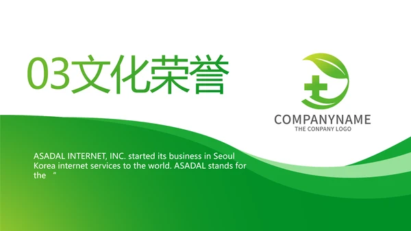 绿色简约医疗医药公司简介总结PPT