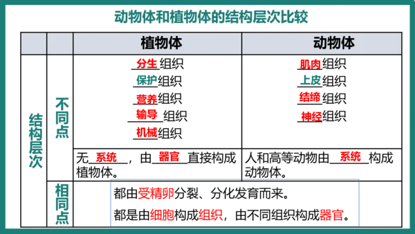 第一单元第三章从细胞到生物体（复习课件）-七年级生物上册同步教学精制课件（人教版2024）(共44张