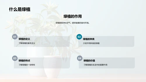 绿植种植入门指南