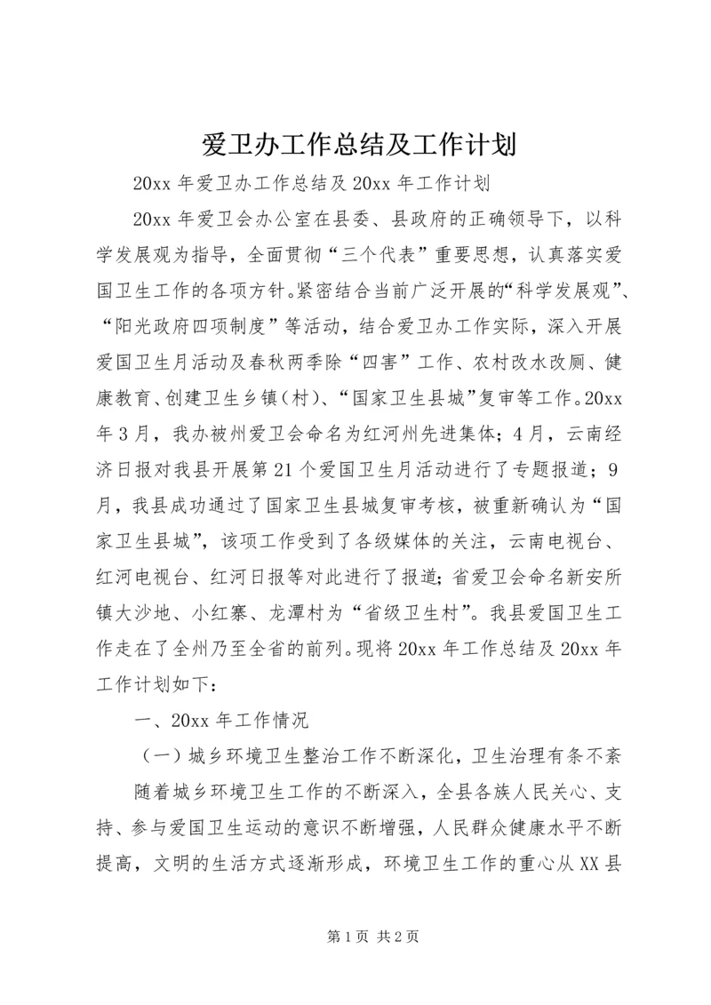 爱卫办工作总结及工作计划 (2).docx