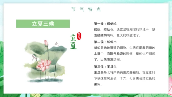 立夏习俗文化荷花池避暑PPT模板