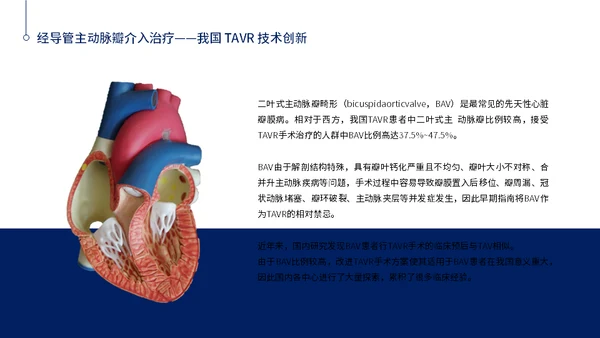 心脏瓣膜病介入治疗通用PPT模板