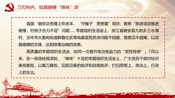 党史学习找差距明方向 PPT课件模板