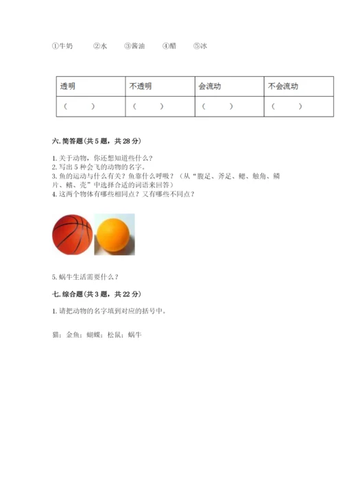 教科版小学科学一年级下册期末测试卷附参考答案（模拟题）.docx