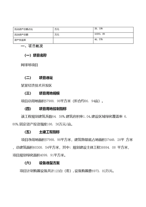 网球场项目立项申请报告[参考模板]