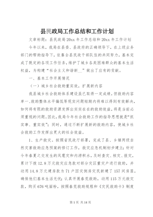 县民政局工作总结和工作计划.docx