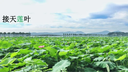15 《古诗二首》（第一课时）——《晓出净慈寺送林子方》  课件