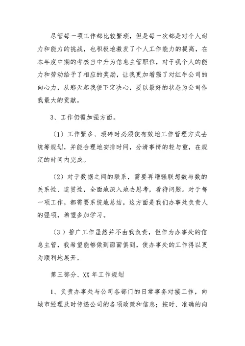 公司信息主管工作总结及XX年度工作计划