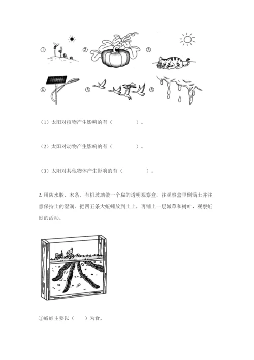 教科版二年级上册科学期末考试试卷（完整版）.docx