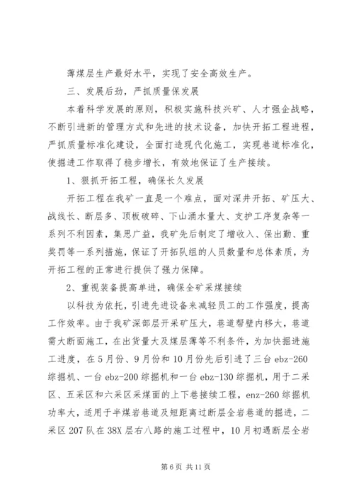 向公司职工代表视察团的汇报材料.docx