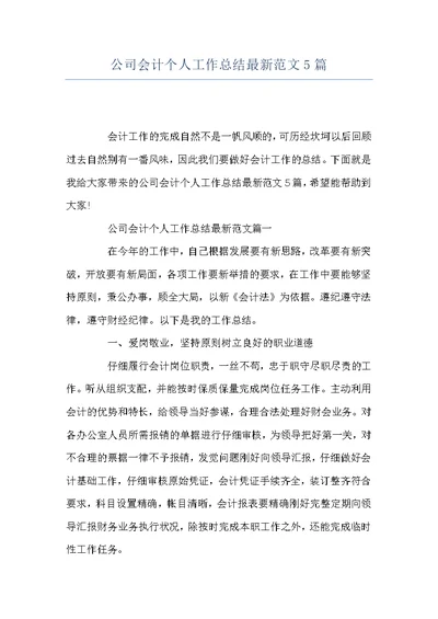 公司会计个人工作总结最新范文5篇