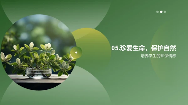 自然之书：动植物奥秘