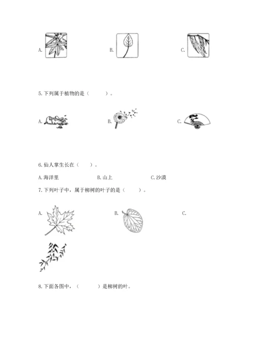 教科版科学一年级上册期末测试卷精品【全优】.docx