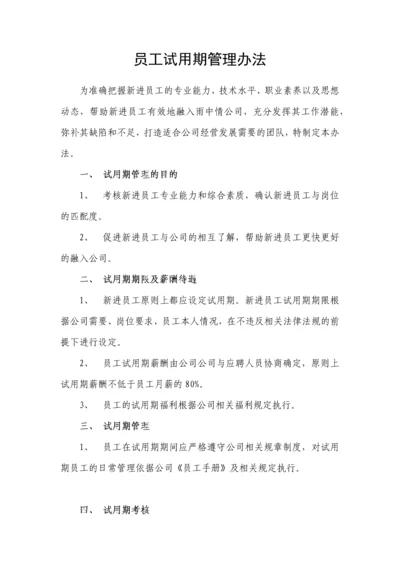 试用期管理办法及试用期考核表格.docx