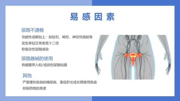 医疗风医疗泌尿系感染PPT模板