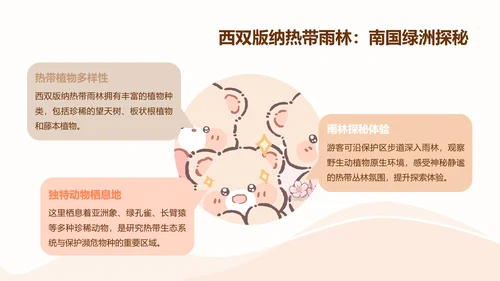 棕棕熊橙色卡通风云南旅游攻略