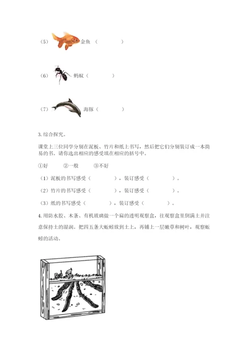 教科版二年级上册科学期末测试卷精品【网校专用】.docx