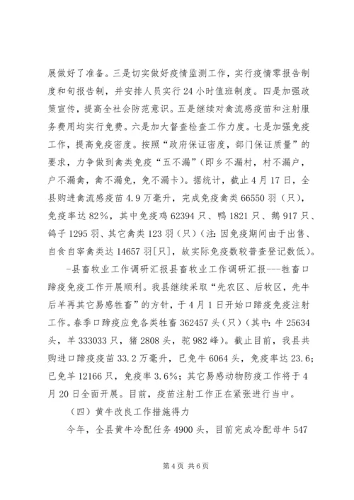 县畜牧业工作调研汇报.docx