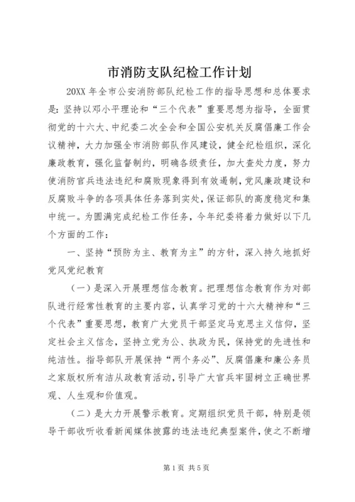 市消防支队纪检工作计划.docx