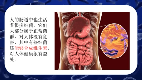 人教版生物七年级上册2.3.2《细菌》课件(共24张PPT)