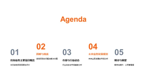 咨询业务月度总览