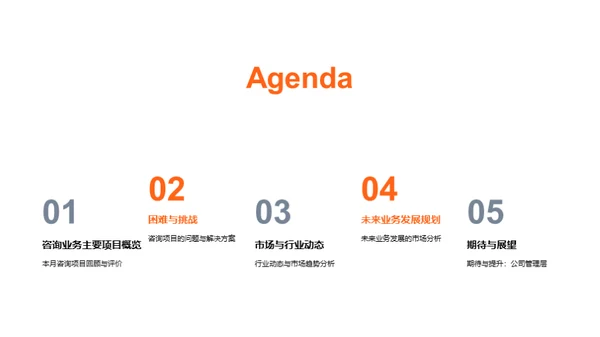 咨询业务月度总览