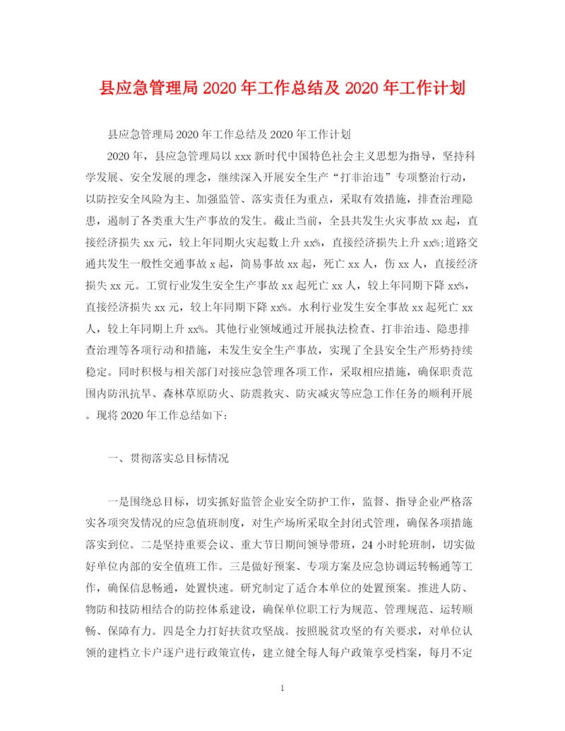 精编之经典范文县应急管理局年工作总结及年工作计划.docx