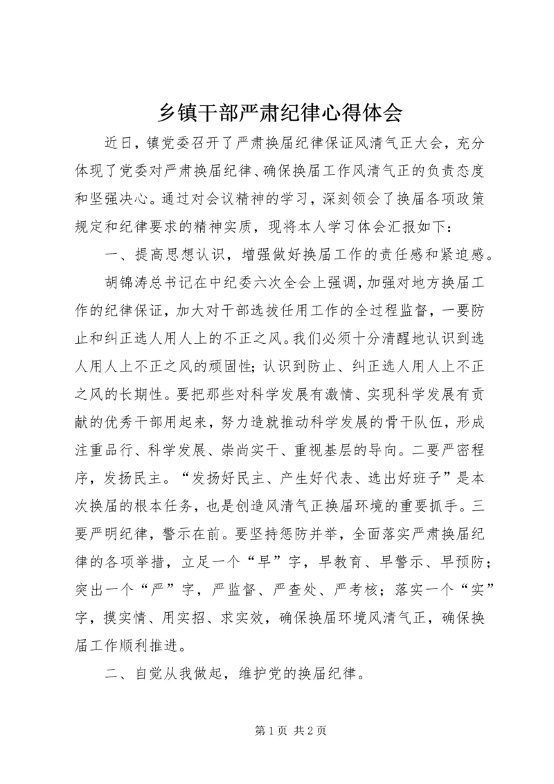 乡镇干部严肃纪律心得体会.docx