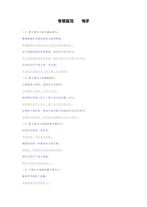 2023年小升初语文专项复习句子精编习题.docx