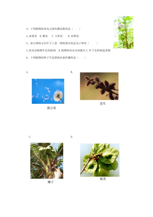 苏教版三年级科学下册单元测试题-题目.docx