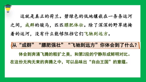 19 牧场之国 课件