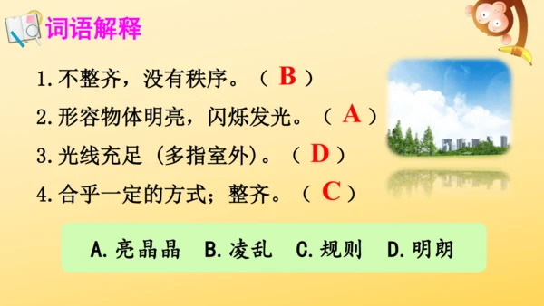 5《铺满金色巴掌的水泥道》   课件