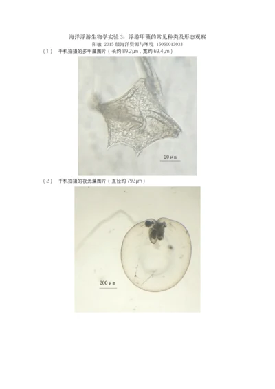 海浮游第三次实验—阳敏.docx