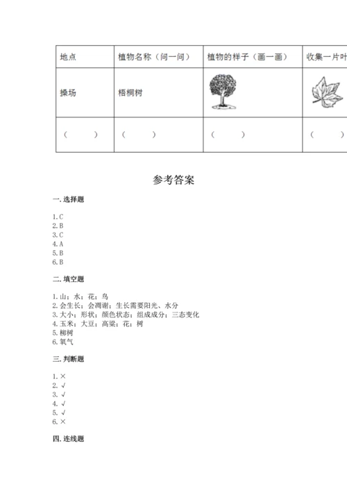 教科版科学一年级上册第一单元《植物》测试卷【实验班】.docx