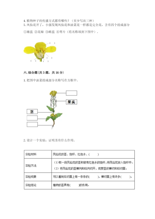 科学四年级下册第一单元《植物的生长变化》测试卷【易错题】.docx