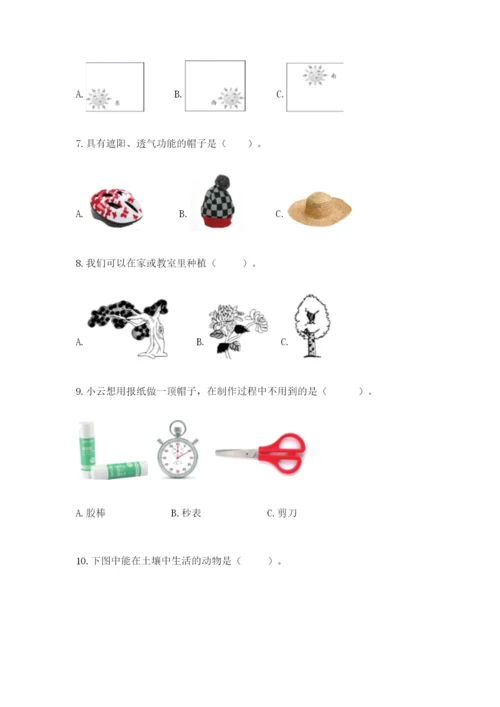 教科版科学二年级上册期末测试卷及参考答案（考试直接用）.docx