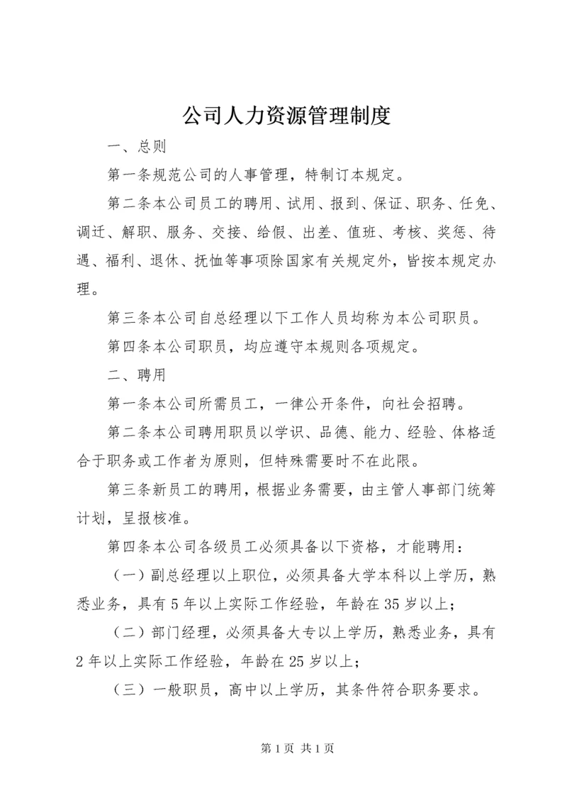 公司人力资源管理制度 (2).docx