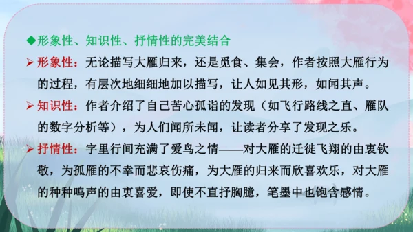 19《大雁归来》课件