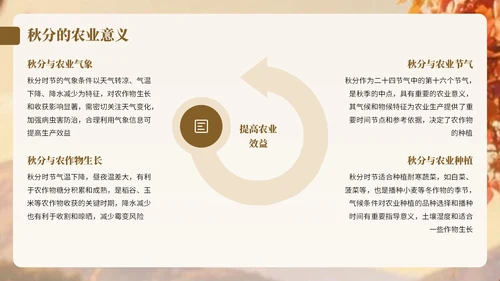 棕色卡通中国风秋分节气宣传知识PPT