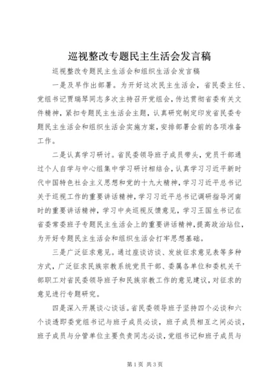 巡视整改专题民主生活会发言稿 (3).docx