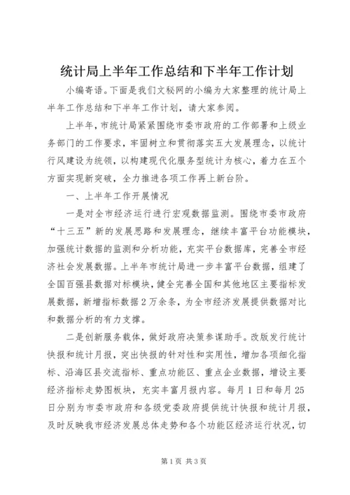 统计局上半年工作总结和下半年工作计划精编.docx