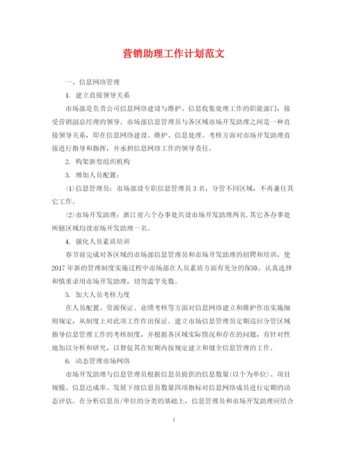 精编之营销助理工作计划范文.docx