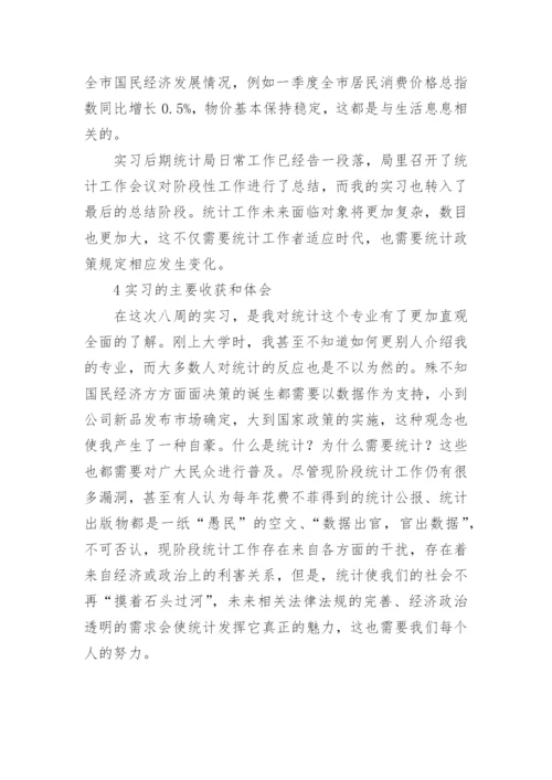 统计局实习报告范文.docx