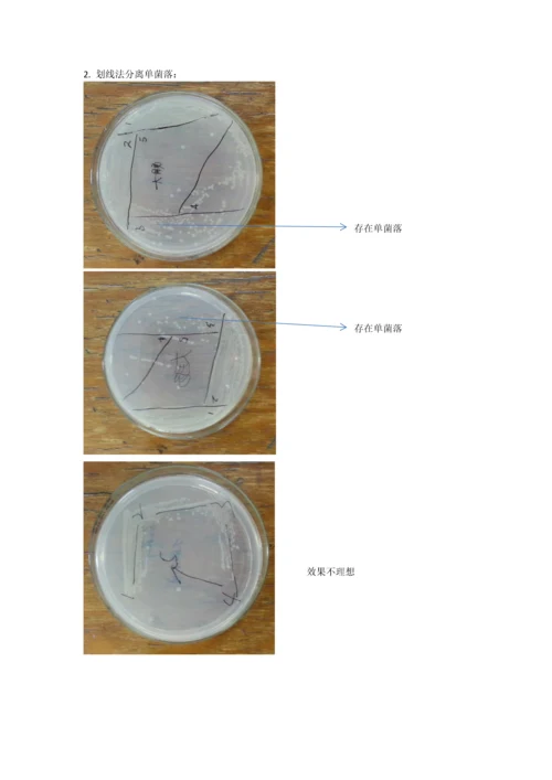 环境中微生物的检测和分离纯化.docx