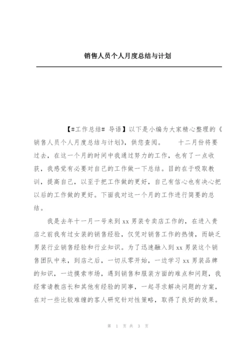 销售人员个人月度总结与计划.docx