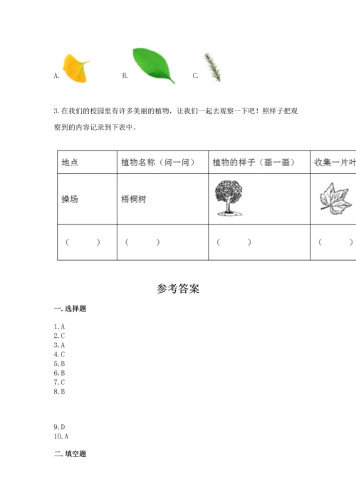 教科版一年级上册科学期末测试卷及参考答案.docx