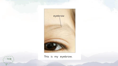 Unit 2 Face Lesson 3 课件共32张PPT)