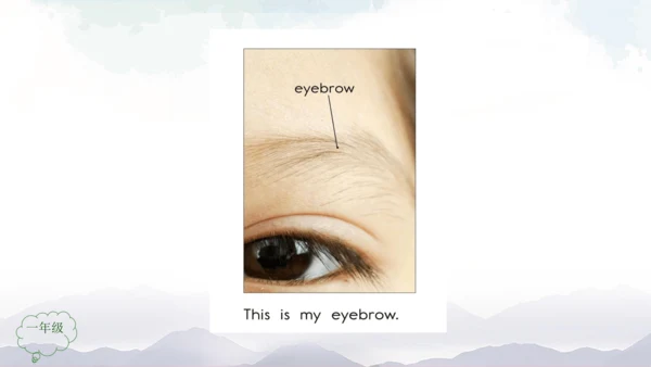 Unit 2 Face Lesson 3 课件共32张PPT)